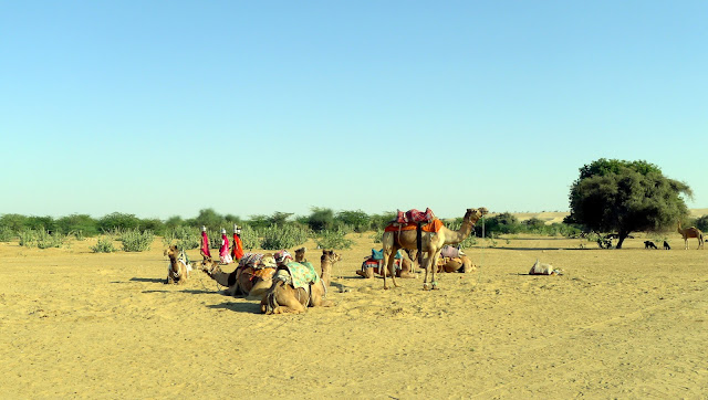 Sweet Desert Intoxication in Jaisalmer