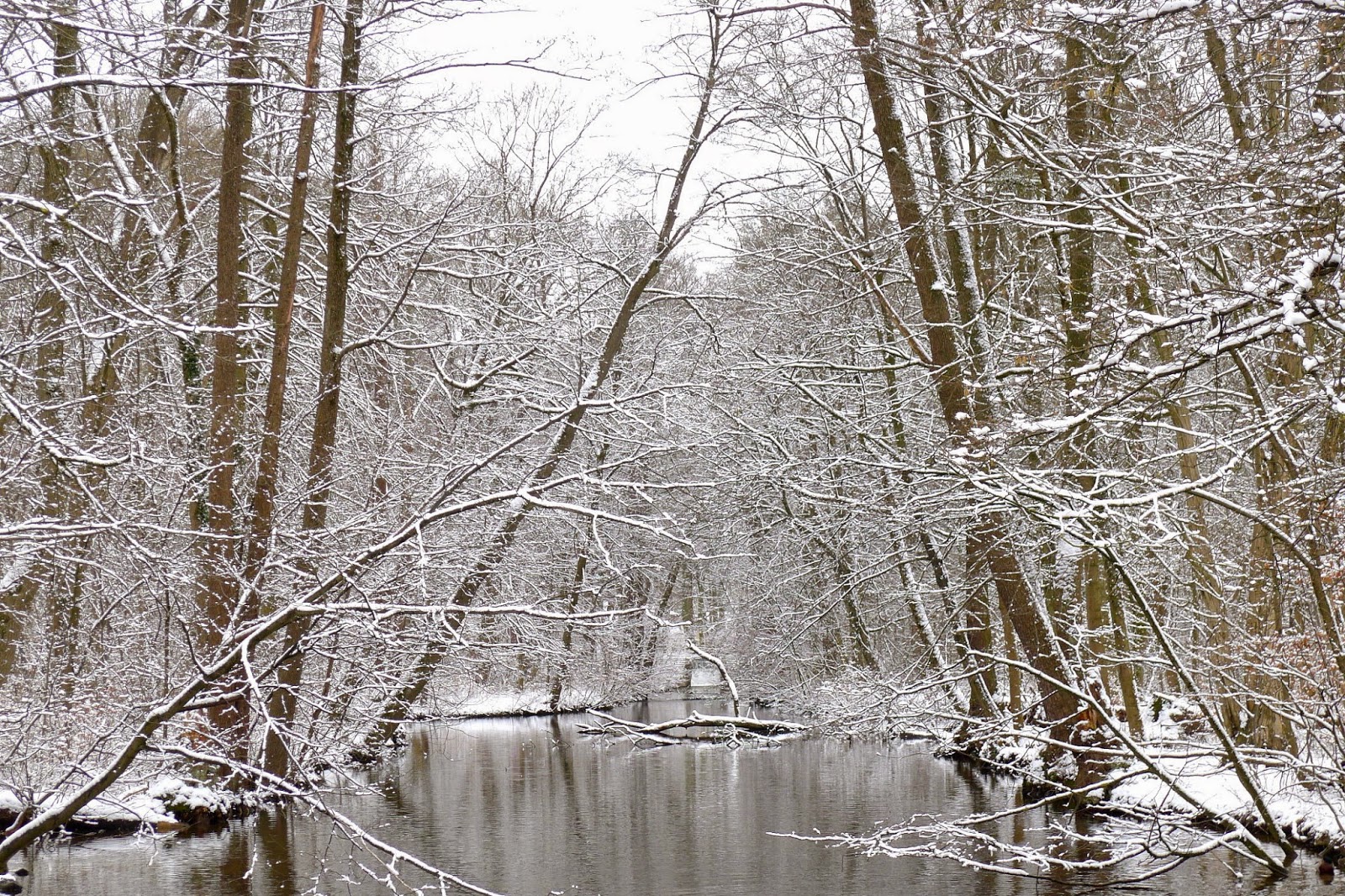 The road less traveled is an enchanting walk