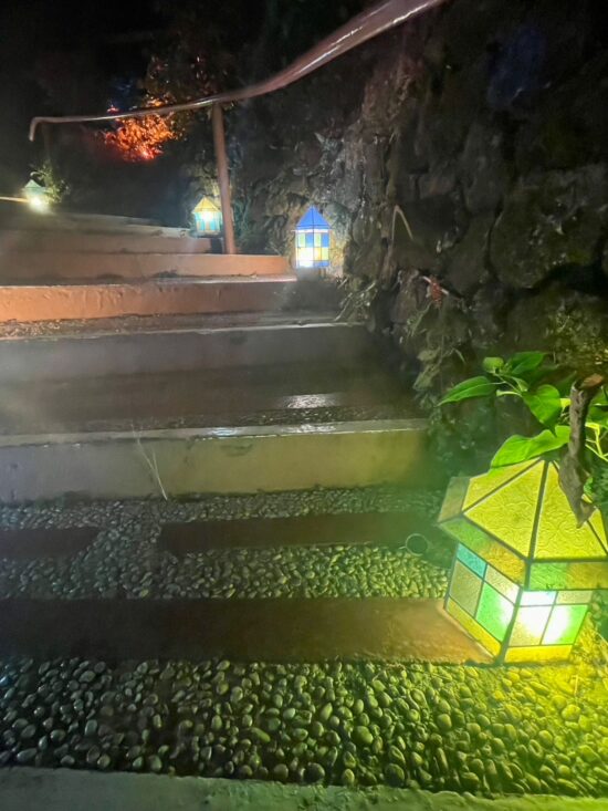 The Next Time I Fall In Love